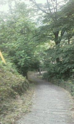 b0105259_8242358.jpg