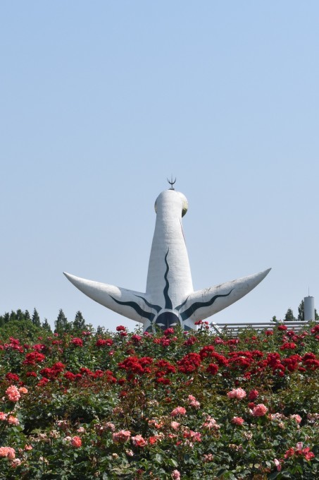 d0087062_20400895.jpg