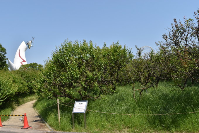 d0087062_21131758.jpg