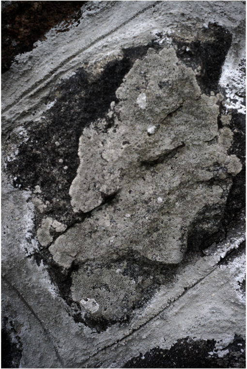 c0168172_10393951.jpg