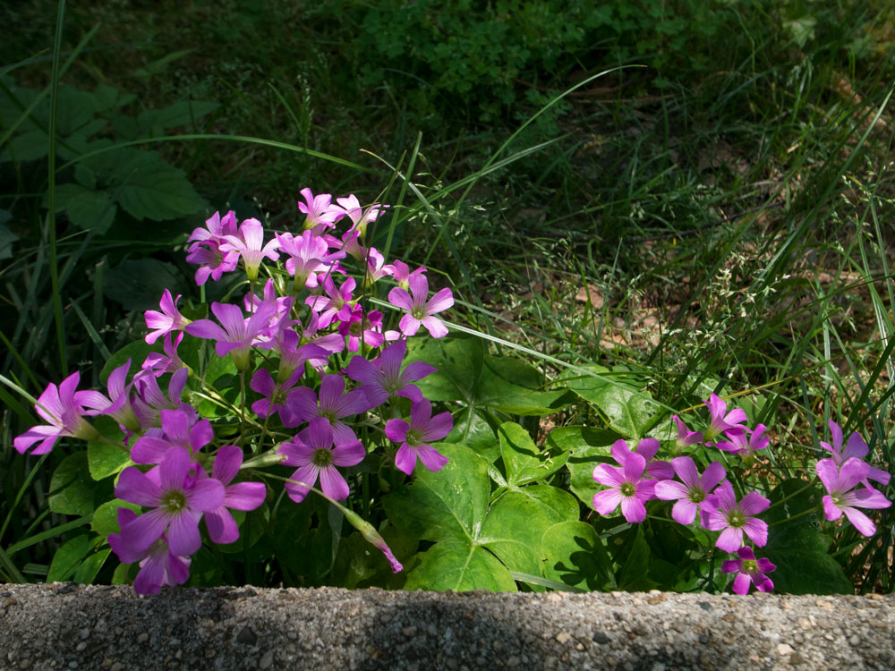 c0108673_2251259.jpg