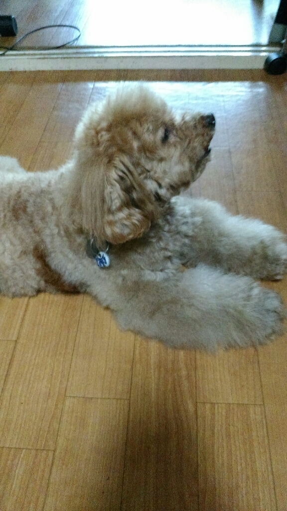 c0162773_00294087.jpg