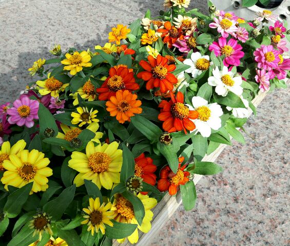 d0062076_1621473.jpg