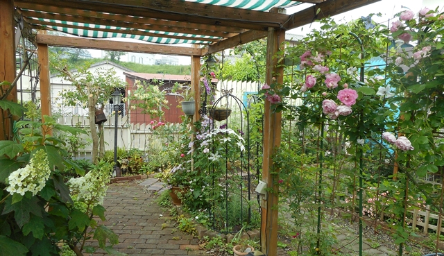 f0366679_2346953.jpg