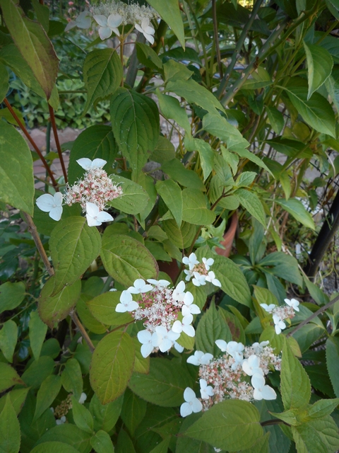 f0366679_23473720.jpg