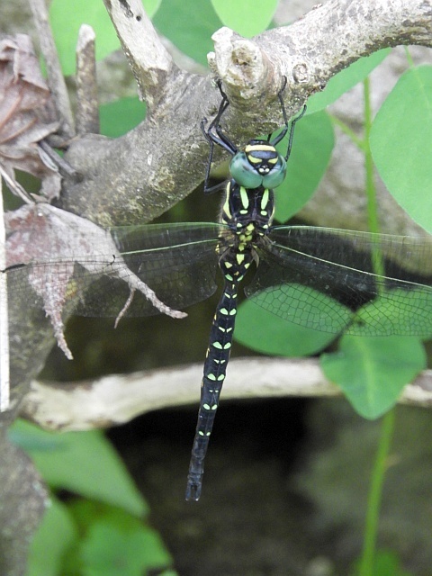 f0378979_19482166.jpg