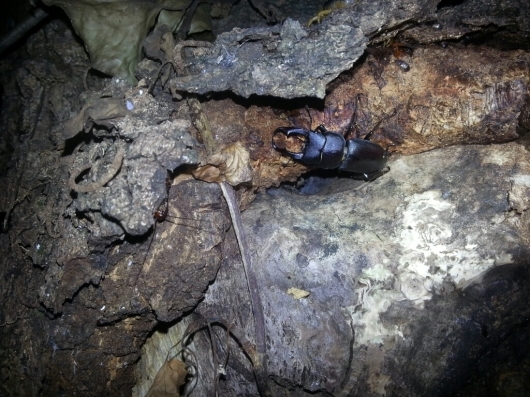 f0183484_02520836.jpg