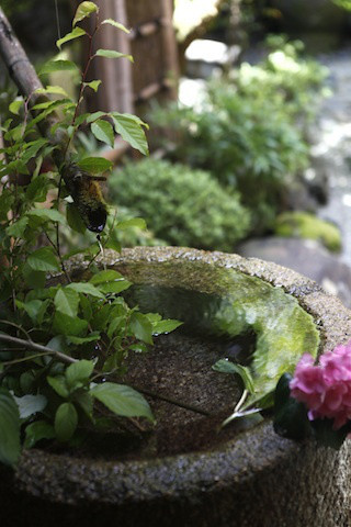 b0149587_87525.jpg