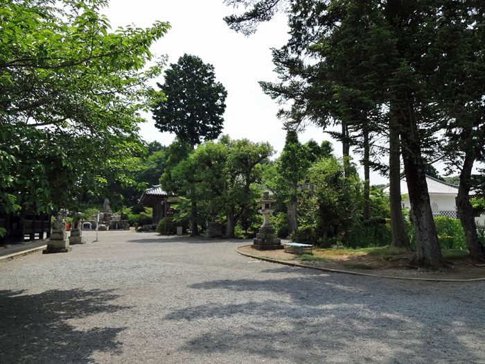 b0019591_15435053.jpg