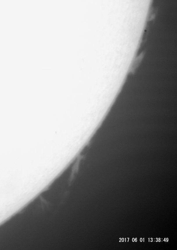 e0174091_14390781.jpg