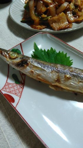 a0206892_08522553.jpg