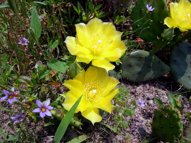 f0325295_11513654.jpg
