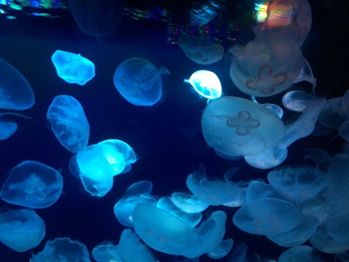 f0201297_00170843.jpg