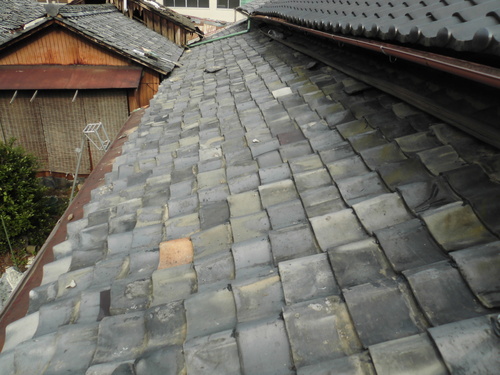 c0108198_1737228.jpg