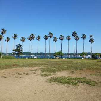 c0195909_11421111.jpg