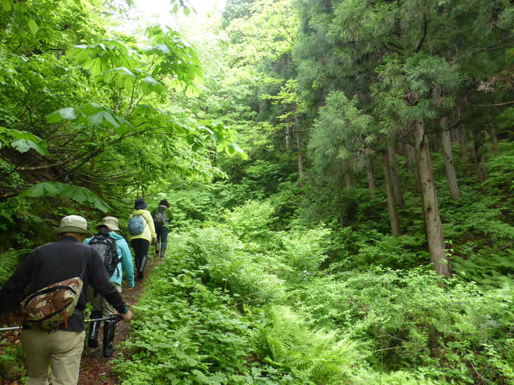 c0120210_21541850.jpg