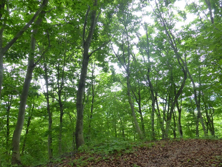 c0120210_21571590.jpg
