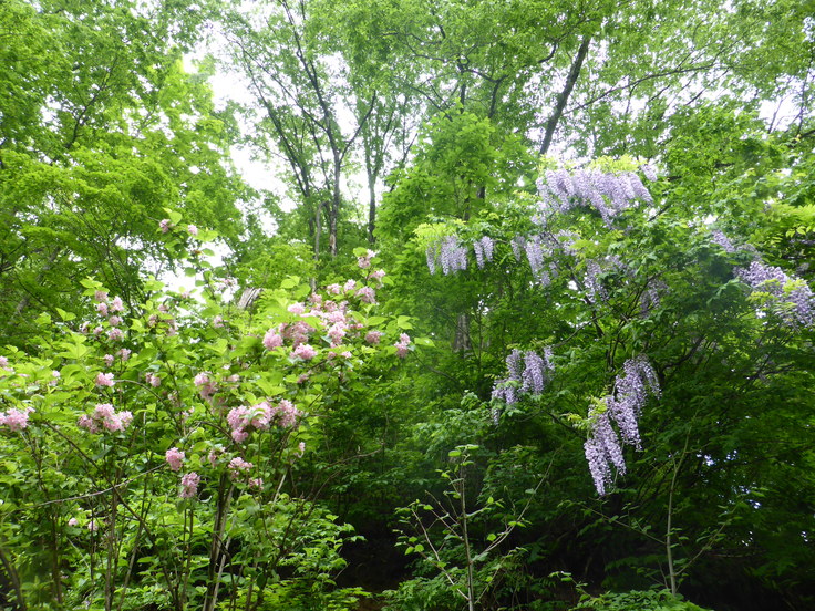 c0120210_2213454.jpg