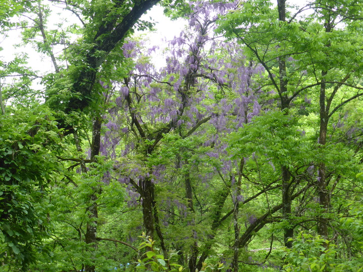 c0120210_22143272.jpg