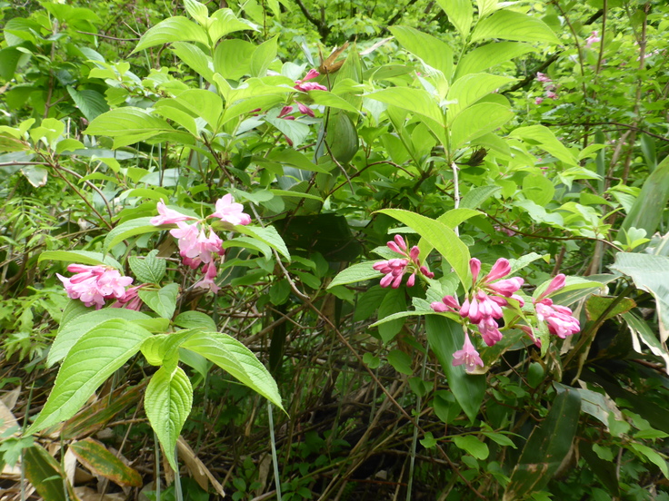 c0120210_2214549.jpg