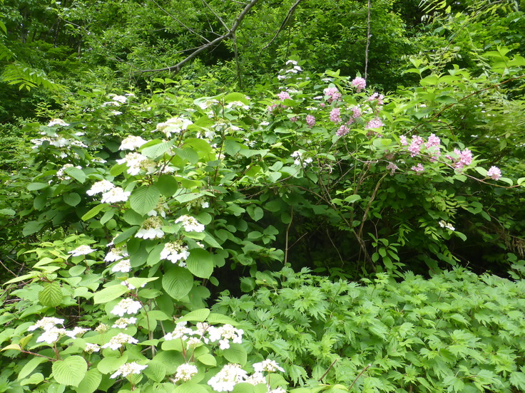 c0120210_2214840.jpg