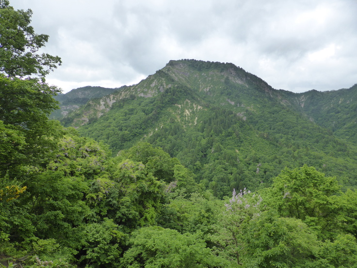 c0120210_2282469.jpg