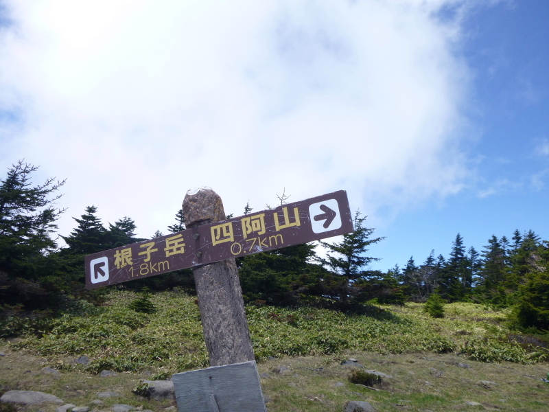 d0170615_13440152.jpg