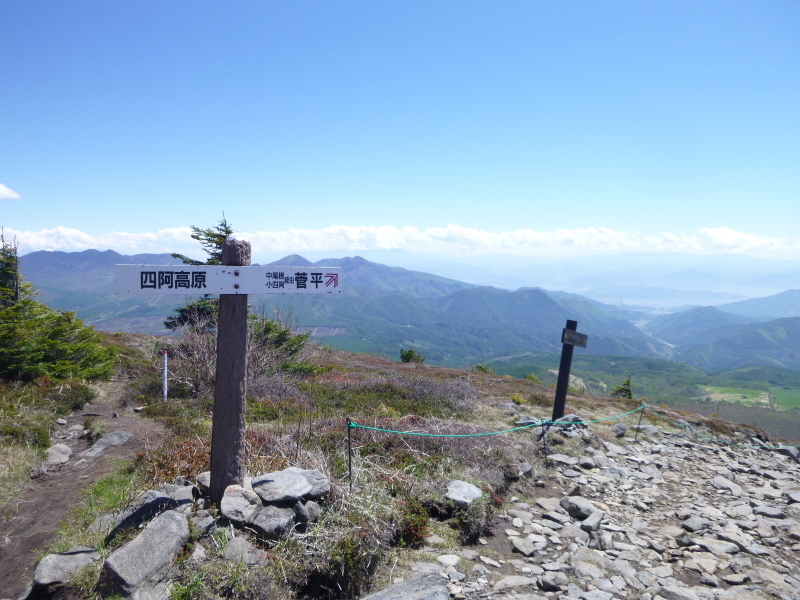 d0170615_13441395.jpg