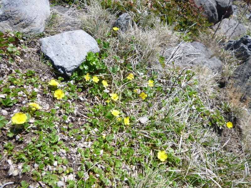 d0170615_13442283.jpg