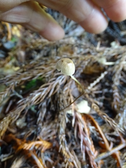f0360815_14202670.jpg