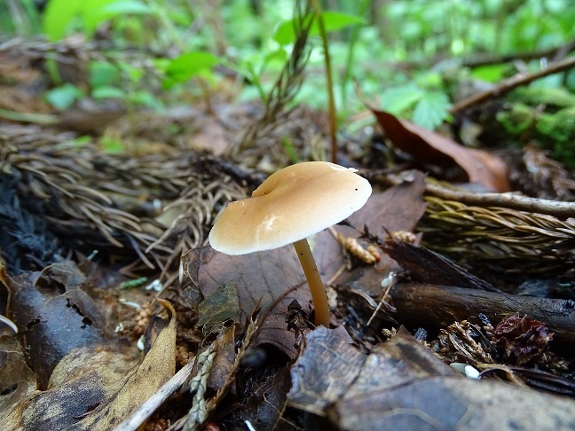 f0360815_14202673.jpg