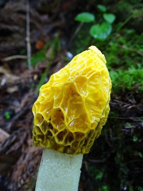 f0360815_14202740.jpg