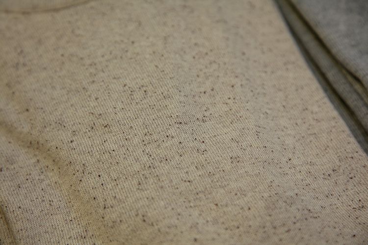 f0165518_20501086.jpg