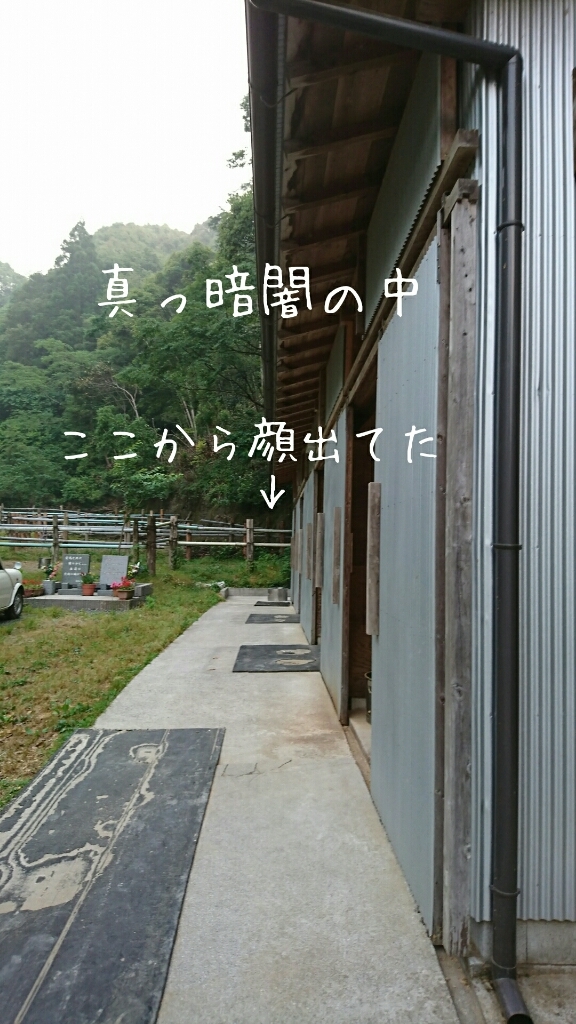 b0187620_18582092.jpg