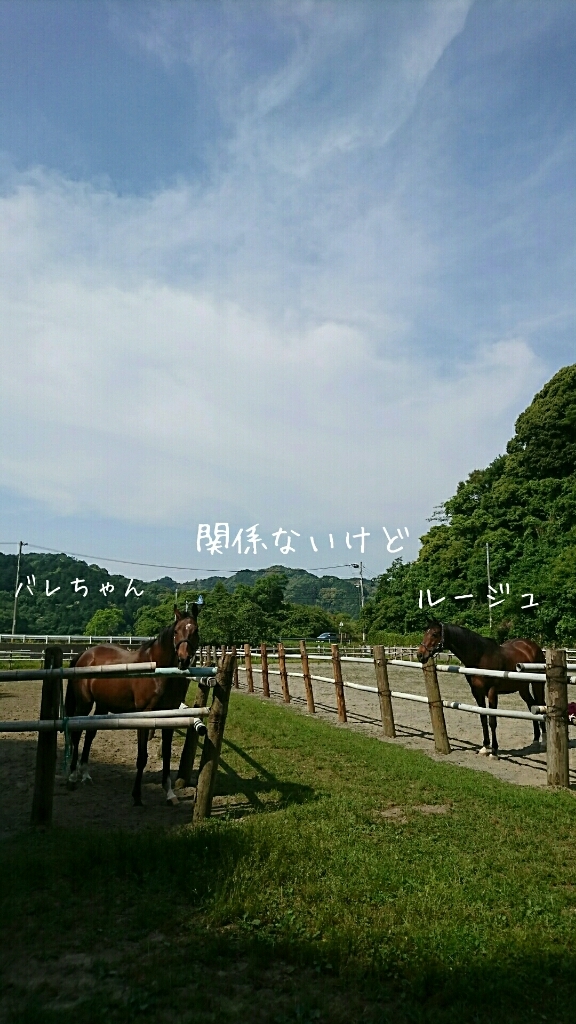 b0187620_20205435.jpg