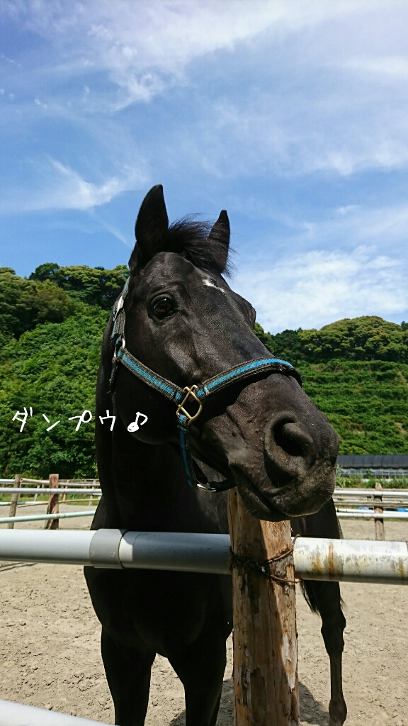 b0187620_20484381.jpg