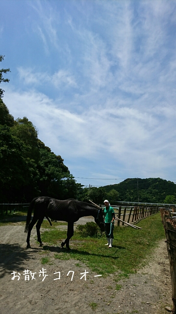 b0187620_20484632.jpg