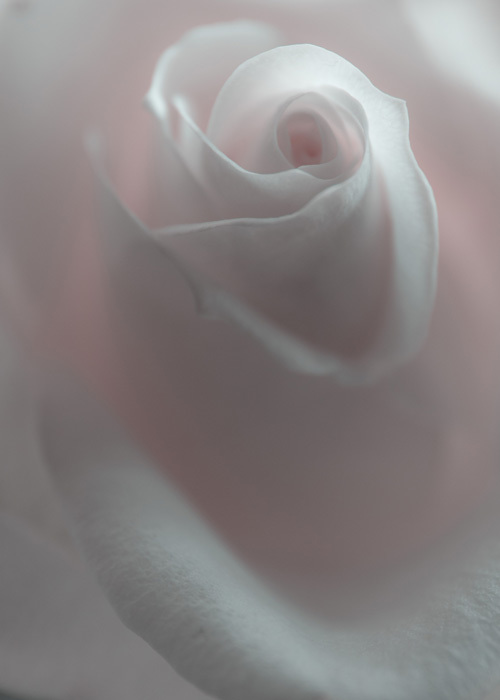 e0238623_17222509.jpg