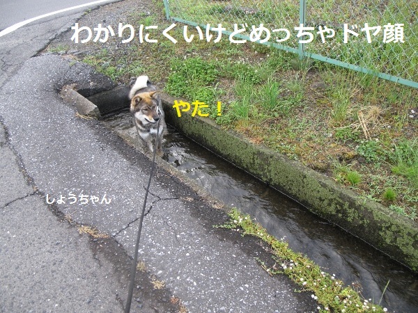 f0143123_09285938.jpg