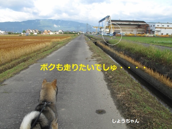 f0143123_09432248.jpg