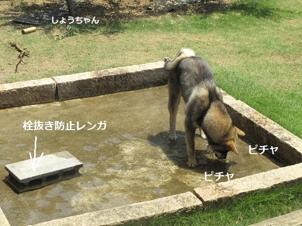 f0143123_10434787.jpg