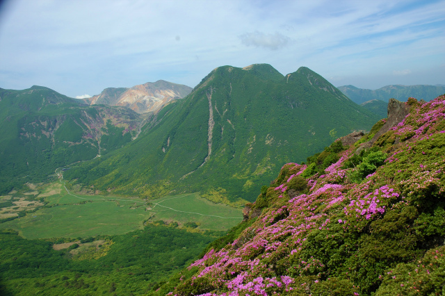 e0272335_19291867.jpg