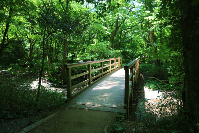 e0272335_1953241.jpg