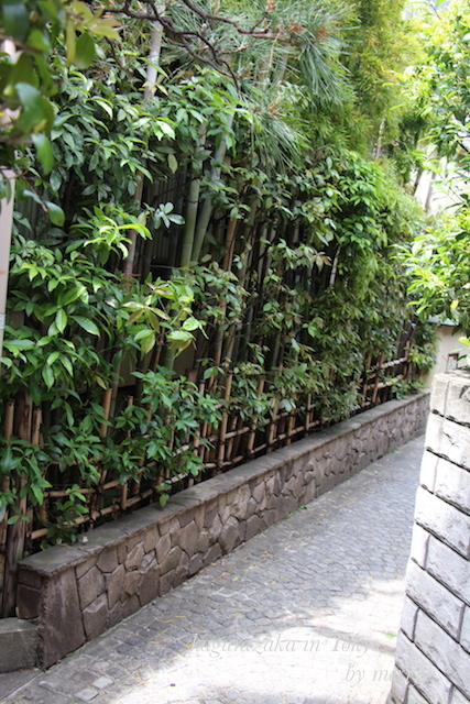 a0207736_23330089.jpg