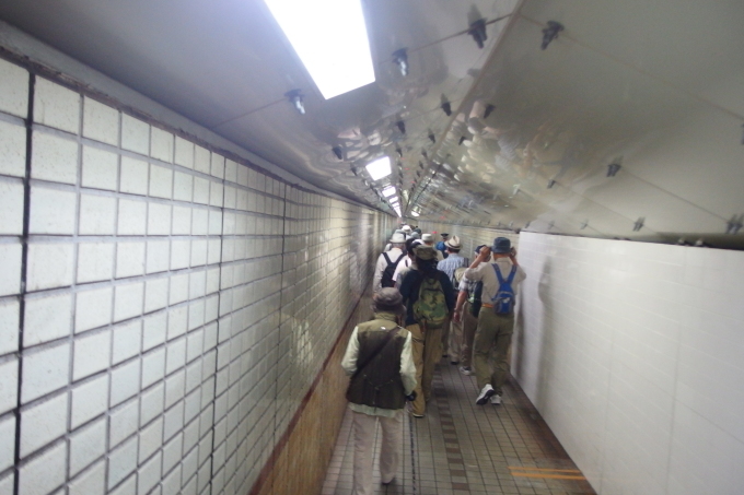 f0148638_11213020.jpg