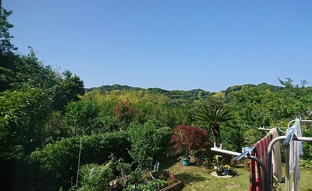 d0013739_09331449.jpg