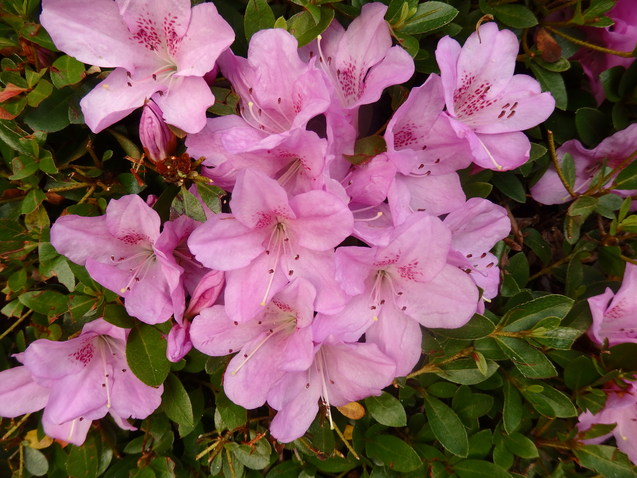 a0054240_2120565.jpg