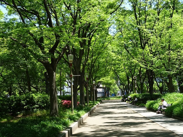 b0299042_14004234.jpg