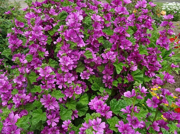 b0299042_17473113.jpg
