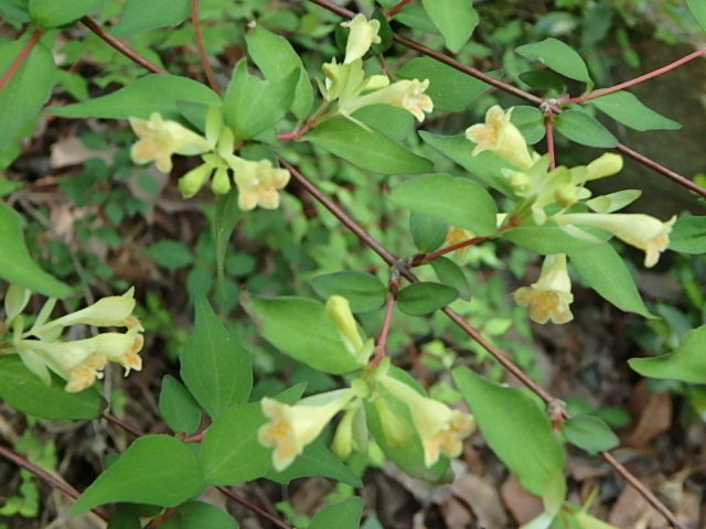 f0334143_8535057.jpg